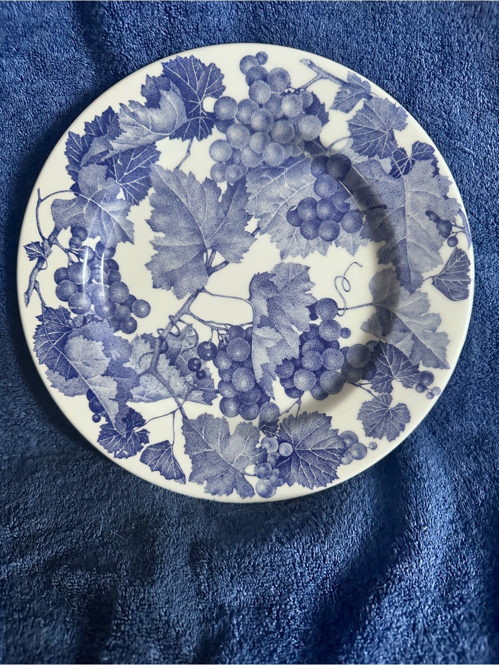 Crate&Barrel White and Blue Grape Vine Dinner Plate